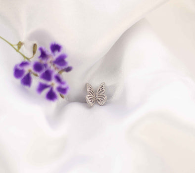 Alas de mariposa color plata sobre seda blanca